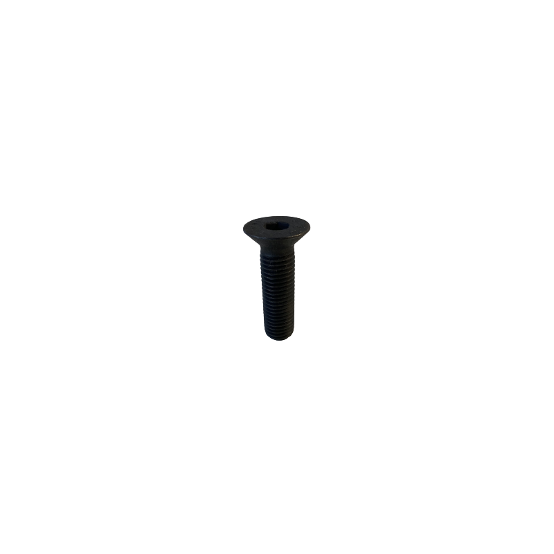 Vis de fixation 20 x 80 (10.9) pour racleur - Vercom Parts