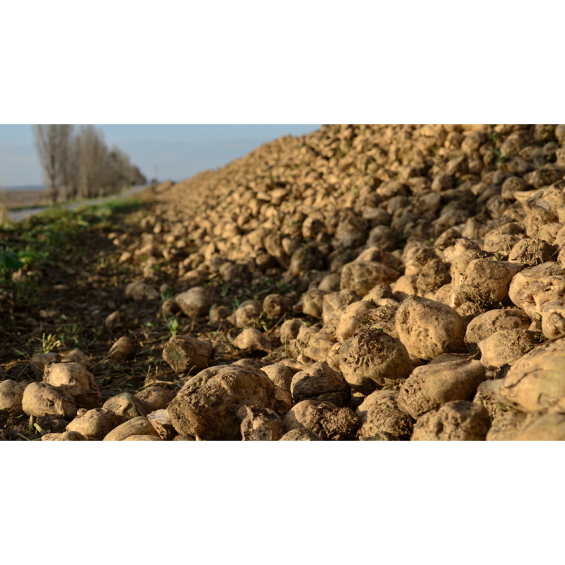 Bâche de protection agricole pour betterave à sucre - VERCOM PARTS
