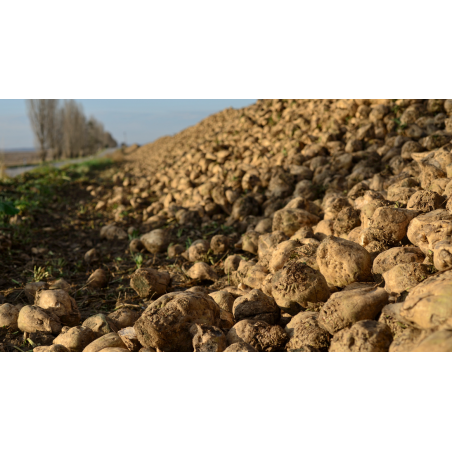Bâche de protection agricole pour betterave à sucre - VERCOM PARTS