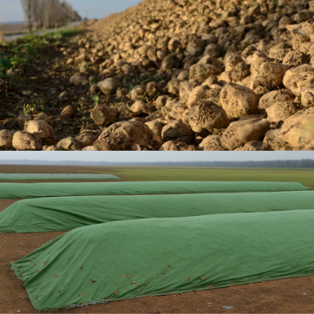 Bâche de protection agricole pour betterave à sucre - VERCOM PARTS